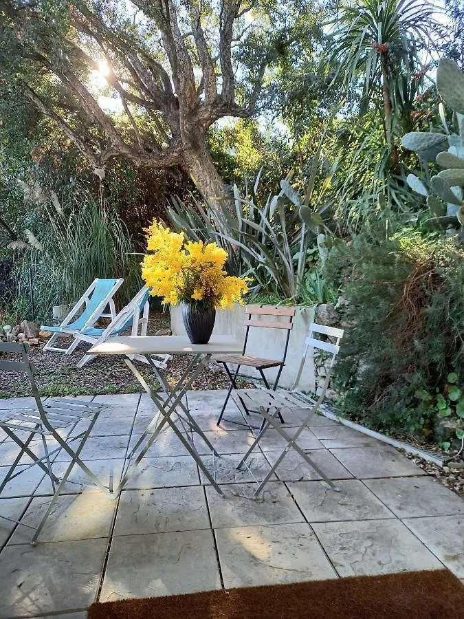 Villa Malibu Mandelieu-la-Napoule